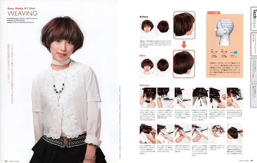 2009年 6月号 新美容出版株式会社